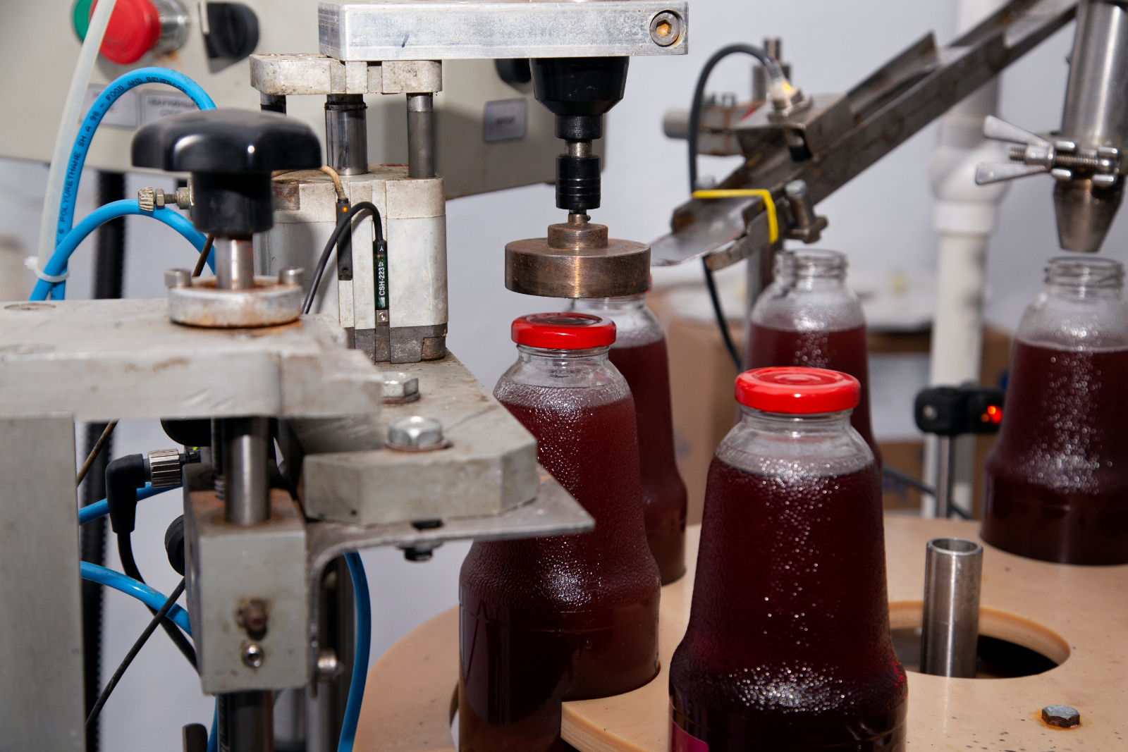 Before Purchasing a Bottle Capping Machine Image